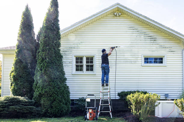Best Sidewalk Pressure Washing  in Vassar, MI
