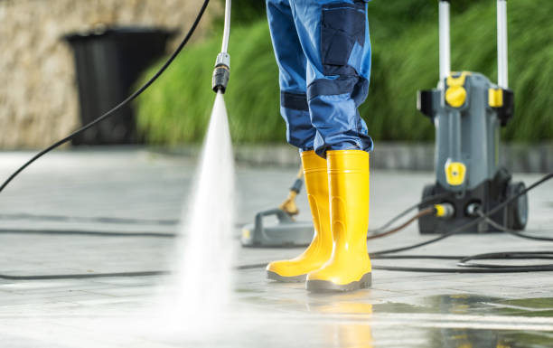 Best Deck Cleaning Services  in Vassar, MI