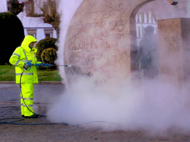 Best Roof Power Washing Services  in Vassar, MI