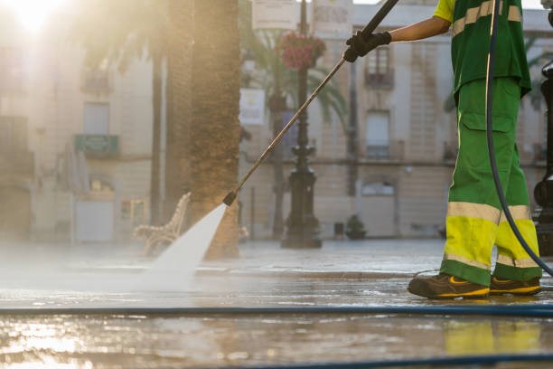 Best Local Pressure Washing Services  in Vassar, MI