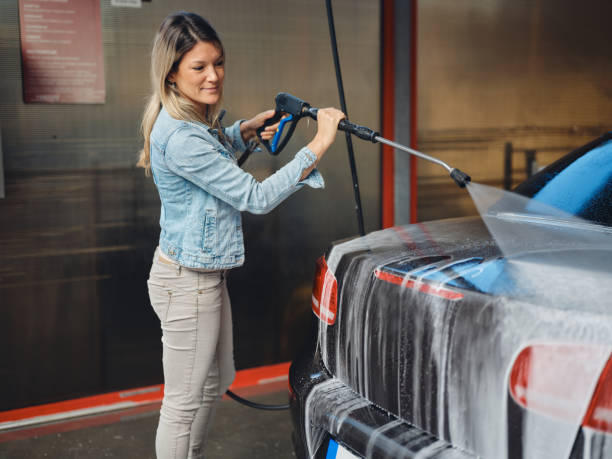 Best Pressure Washing Near Me  in Vassar, MI